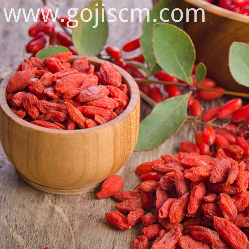 Advantages Goji Berry high quality Advantages Goji Berry high quality